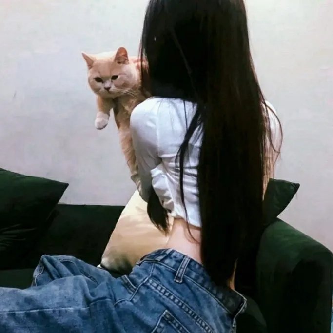 加菲猫和他的朋友们第七季